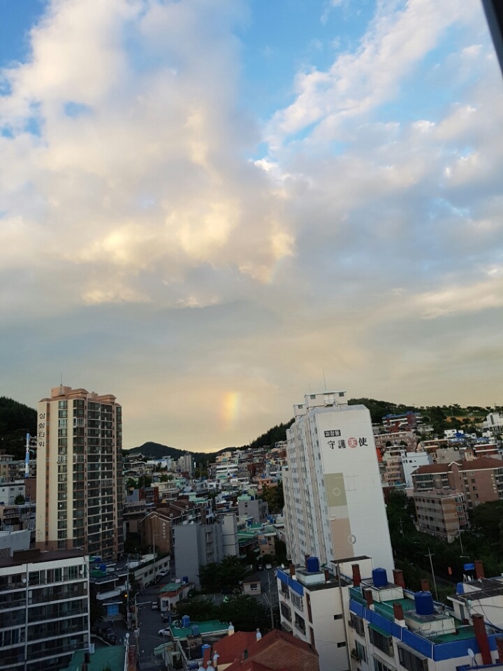 집에서 찍은 무지개 | 인스티즈