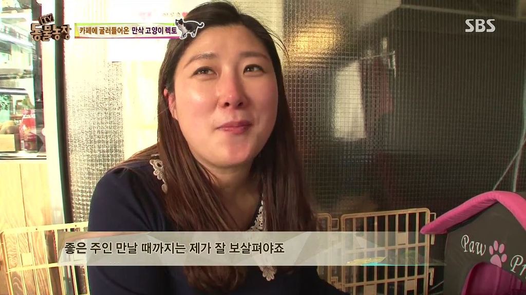 동물농장 [카페에굴러들어온고양이렉토] | 인스티즈