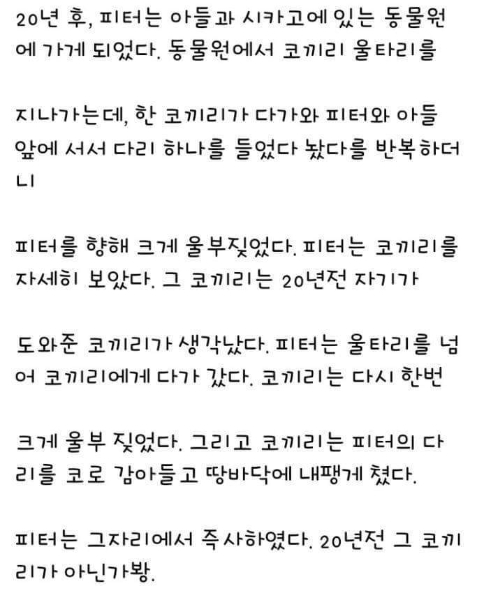 코끼리의 기억력 | 인스티즈