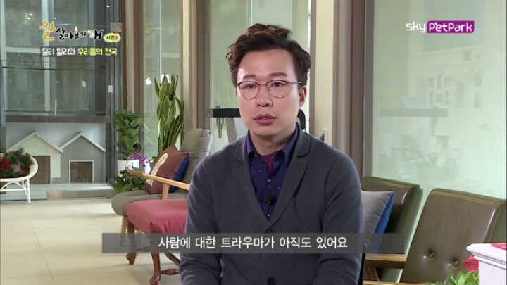 사람에 대한 트라우마가 있는 강아지 딜리 | 인스티즈