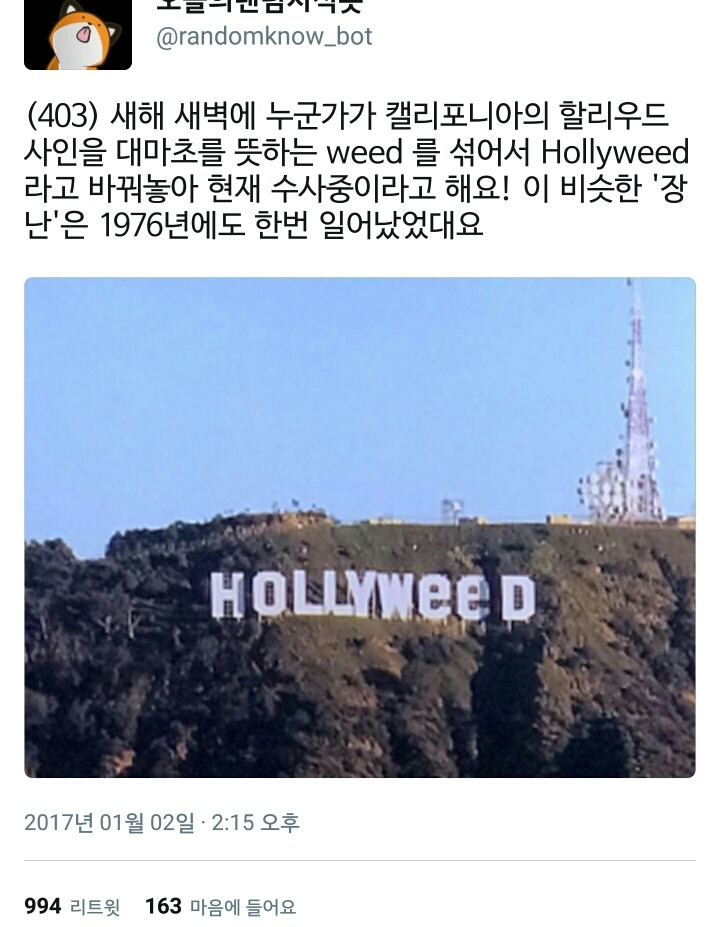 미국의 새해 새벽에 일어난 일.twt | 인스티즈