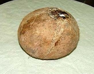 열매유통 이미지