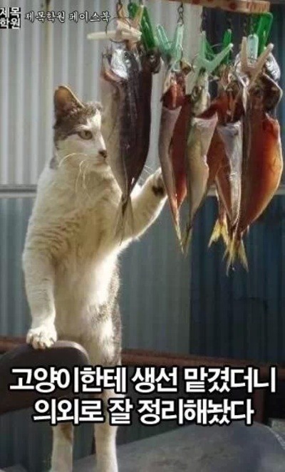 안녕달곰 이미지