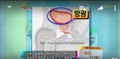 이젠 남자도 앉아서 소변을 봐야한다.jpg | 인스티즈