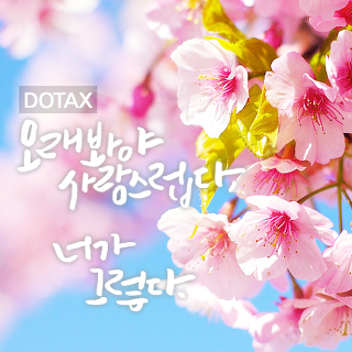 세계에서 가장 위험한 채소 | 인스티즈