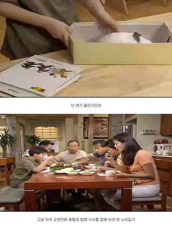 다시보는 레전드 토끼사건 | 인스티즈