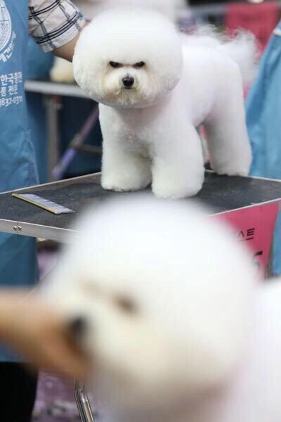 무조건 저 년보다 이쁘게 해주세요.jpg | 인스티즈
