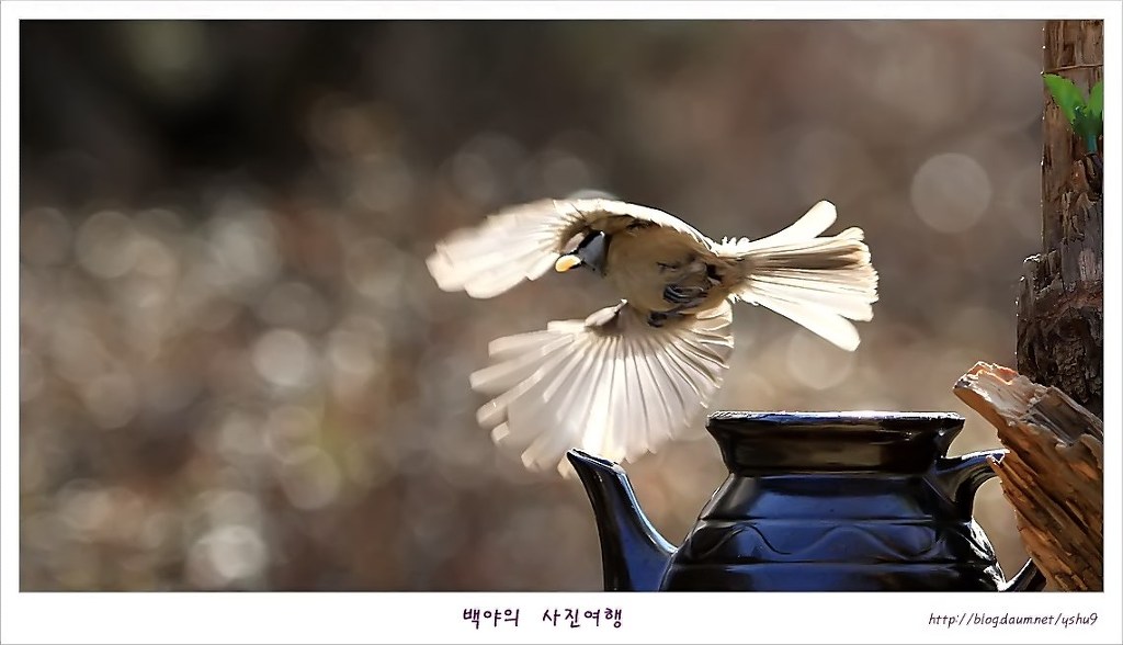 아름다운연출 이미지