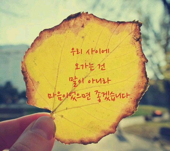 우리사이에 이미지