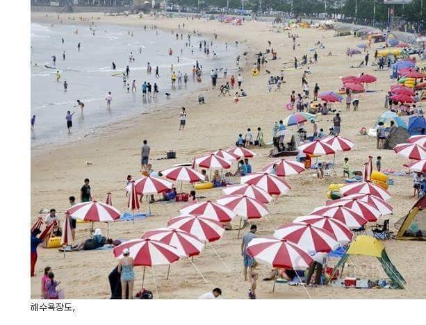 흔한 우리 국민들의 단결력 | 인스티즈