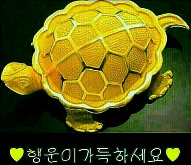 짱이 이미지