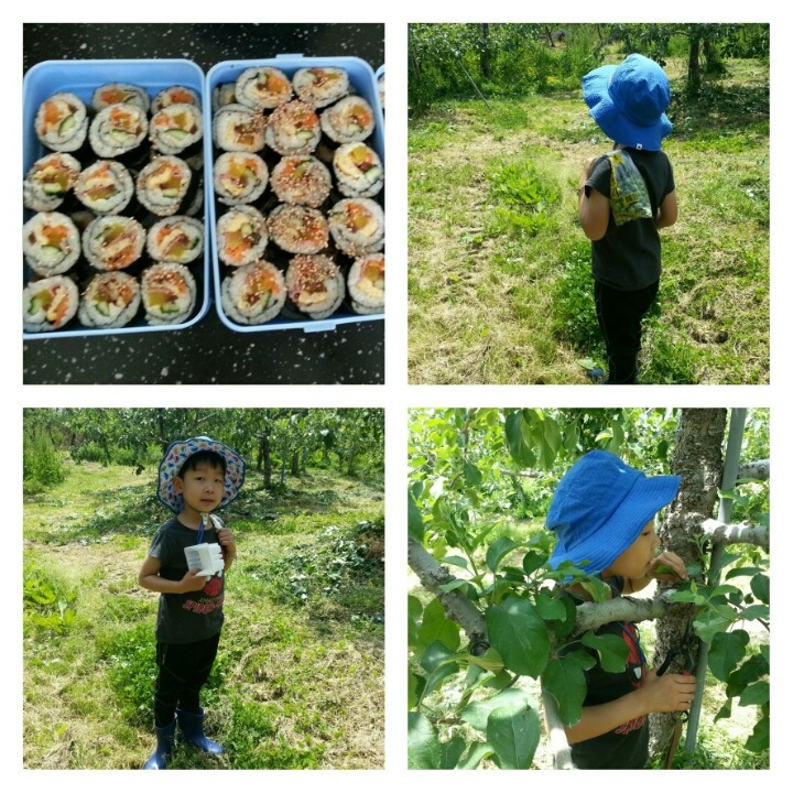 큰엄마김밥 이미지