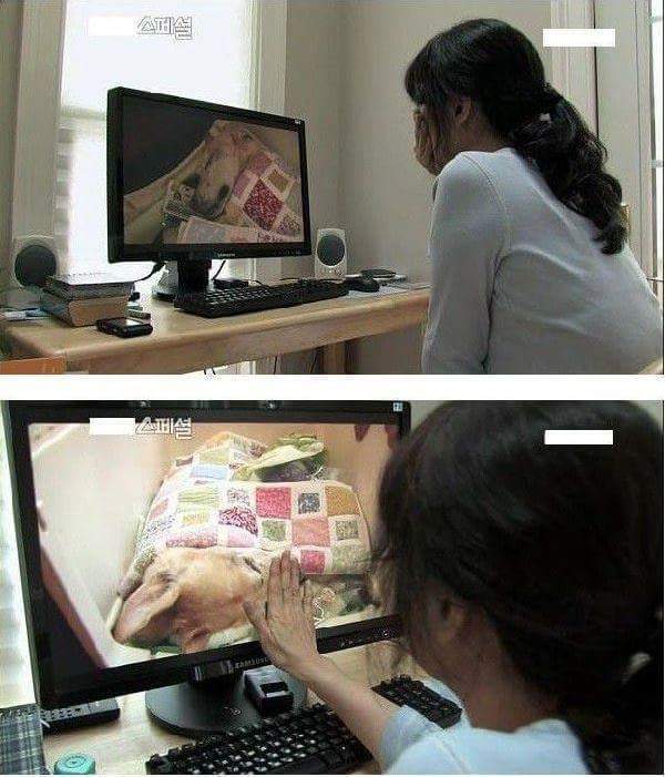 세상에서 가장 아름다운 이별 | 인스티즈