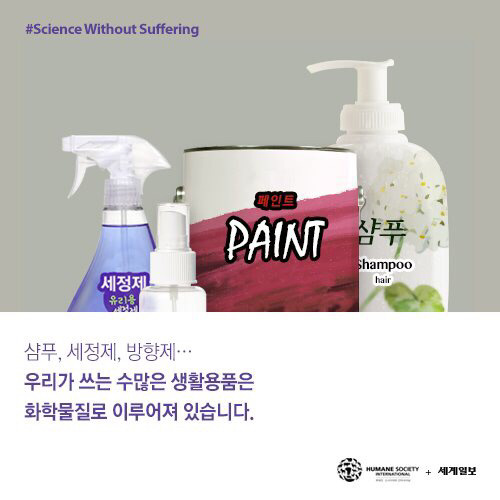 [필수!] 동물실험반대서명 하고가세요!!! 당신의 한서명이 몇천 몇만마리의 동물들을 살립니다!!! 서명하고 하는일마다 잘풀리는 복받아가세요~!! | 인스티즈