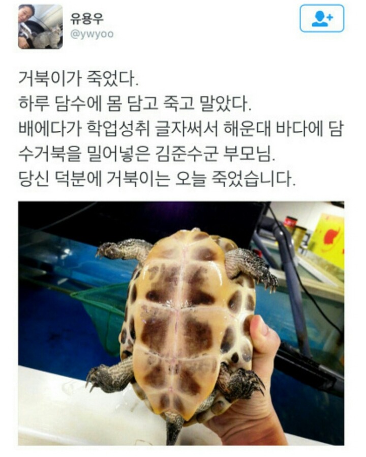 거북이가 죽었다 | 인스티즈