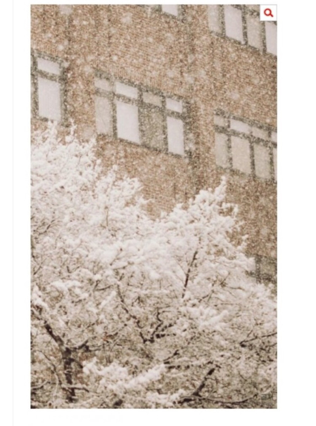 동생폰을 실수로 보다가...(공포주의/후유증 있음) | 인스티즈