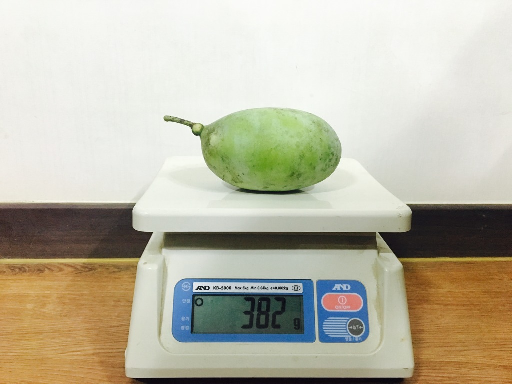 대림농원 이미지