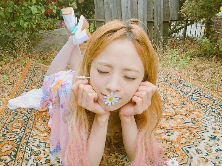 여기요 이미지