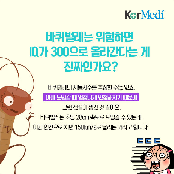 해충에 대한 오해와 진실(feat.바퀴)_약혐주의 | 인스티즈