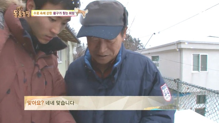 [동물농장] 수로 속에 갇힌 황구가 찾는 희망.JPG (감동주의) | 인스티즈