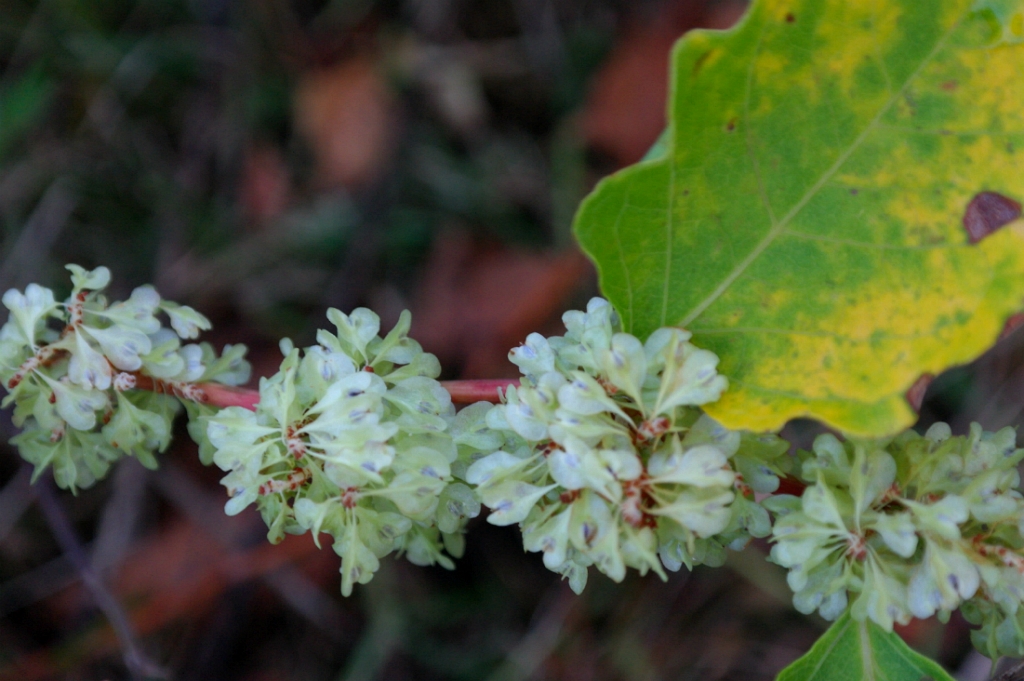 2559BA3E525E890C04C877