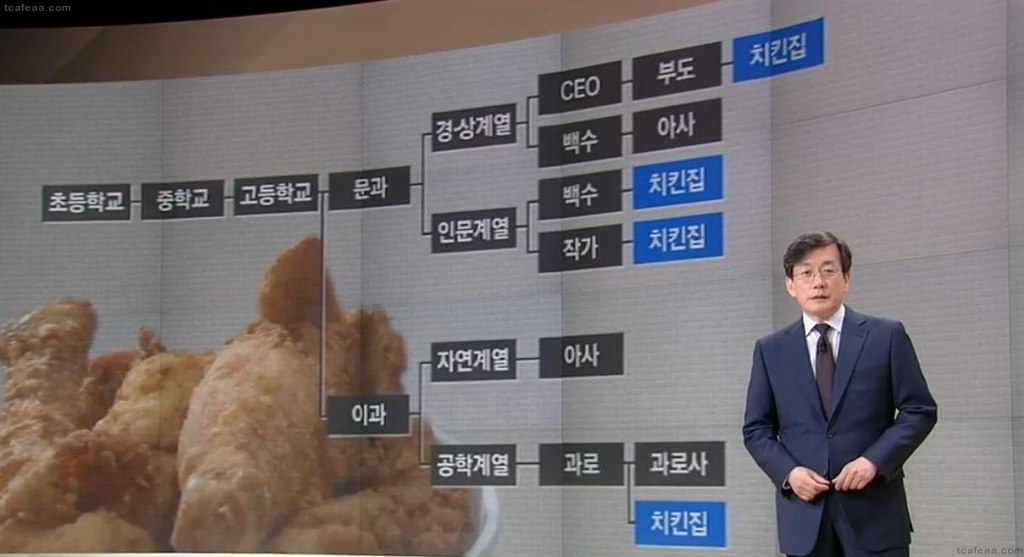 뉴스룸에서 알려주는 문과와 이과 알고리즘 | 인스티즈