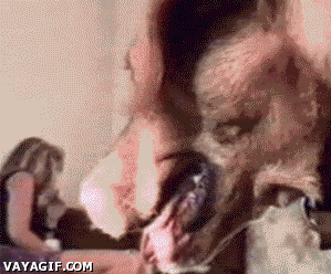 잠자리를 빼앗긴 강아지들 | 인스티즈