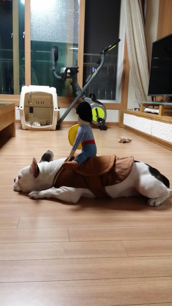 봉자 이미지