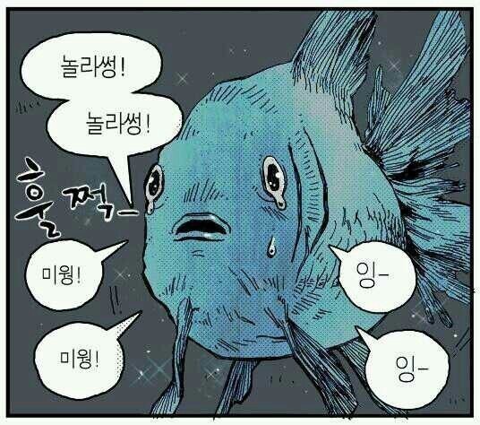 외국인멤버가있는 그룹을 둔 아이돌팬들 | 인스티즈