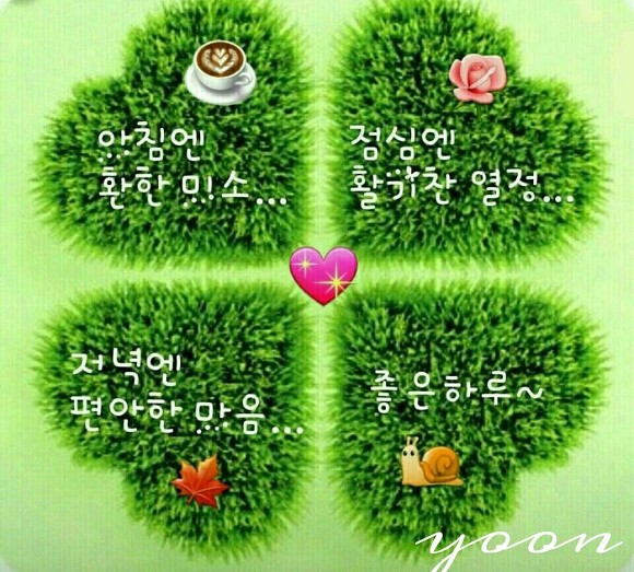 꽃피는하루 이미지