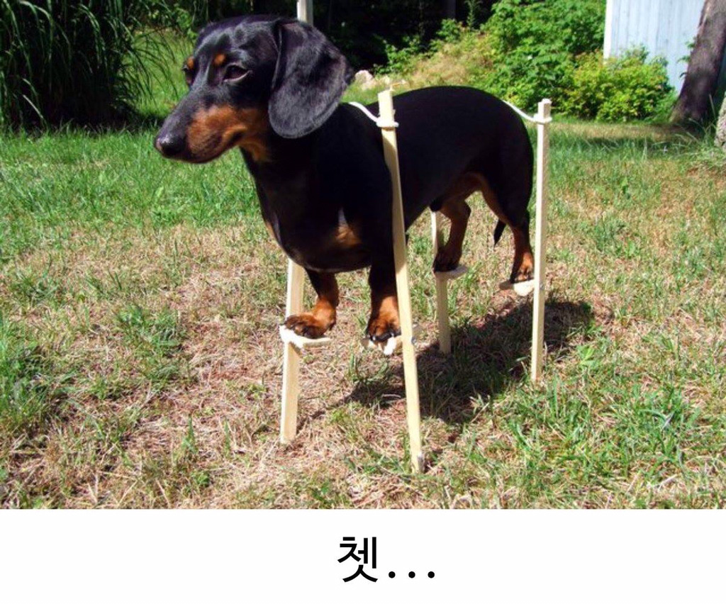 커짐 이미지
