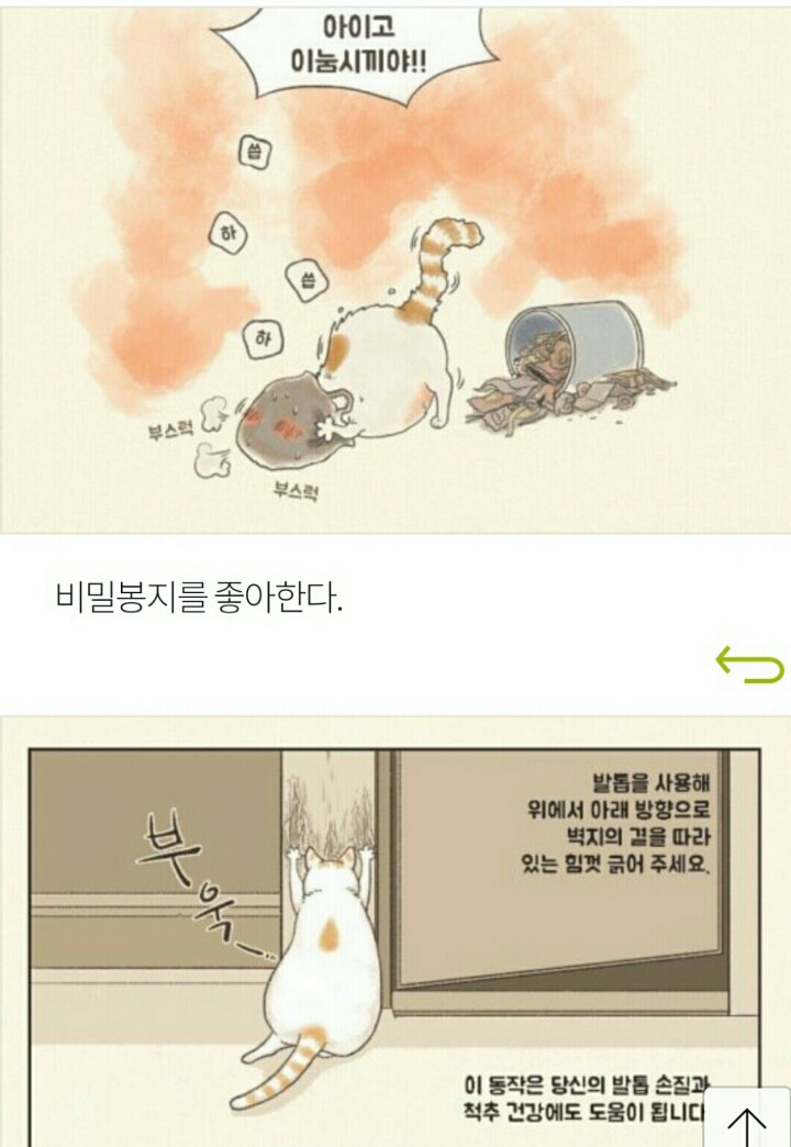 상상 속의 고양이 vs 실제 고양이 | 인스티즈