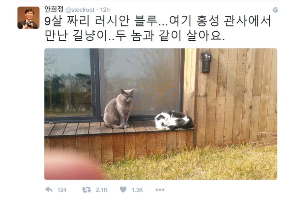 냥집사들 🐱 (사진 엄청많음 주의) | 인스티즈