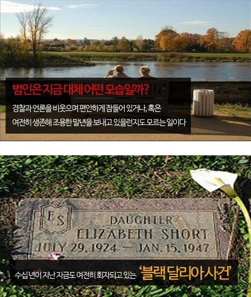 1947년 미국에서 일어난 미스테리, 블랙 달리아 (the Black Dahlia) 사건 (사진 주의) | 인스티즈