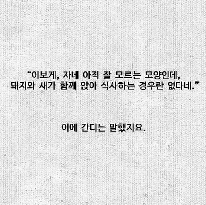 말싸움甲 간디 클라스 | 인스티즈