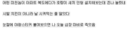 치킨 배달하러 갔는데ㅋㅋㅋㅋㅋㅋㅋㅋㅋㅋ.jpg 무서움 주의 | 인스티즈