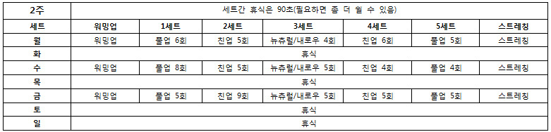 턱걸이 초보도 50개 올리는 프로그램 | 인스티즈