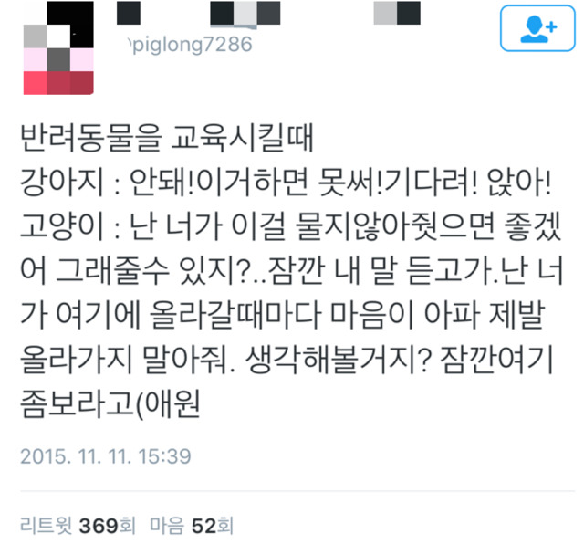 강아지와 고양이의 교육법 | 인스티즈
