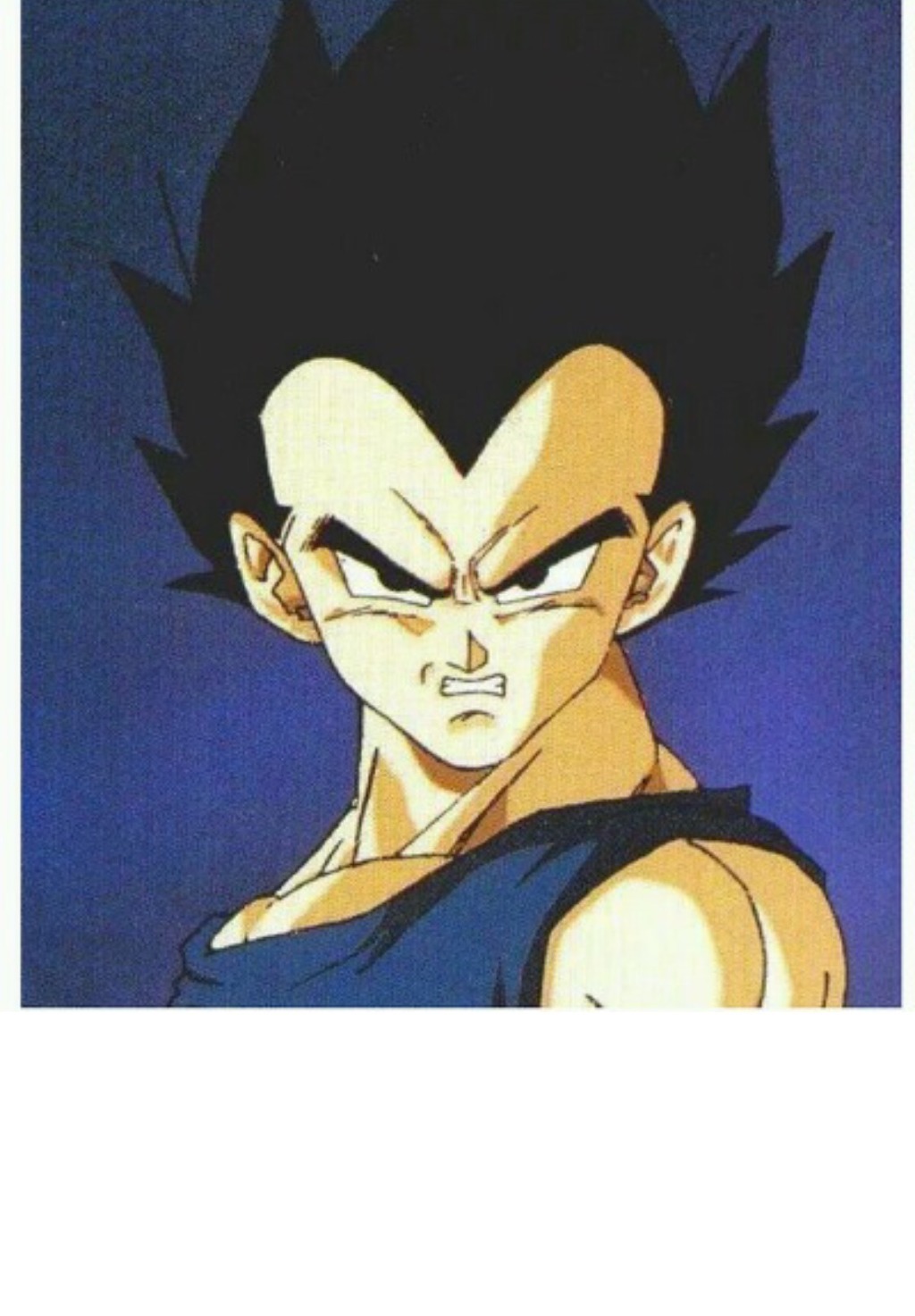 베지터의 진짜 정체 | 인스티즈