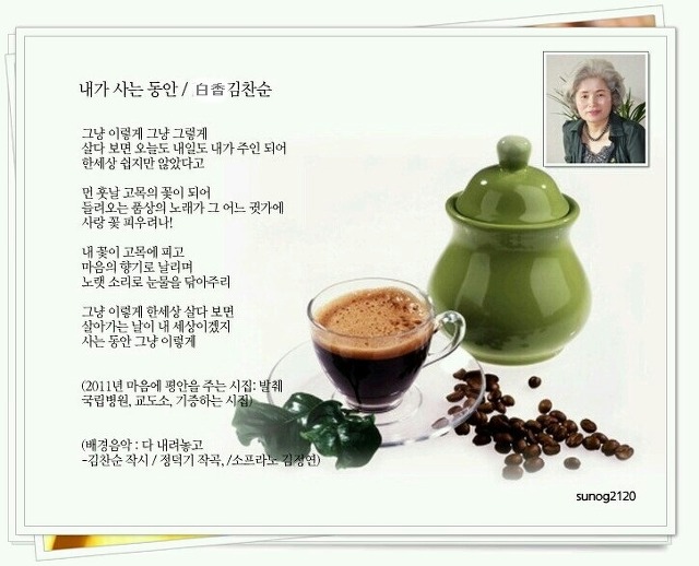 백향 이미지