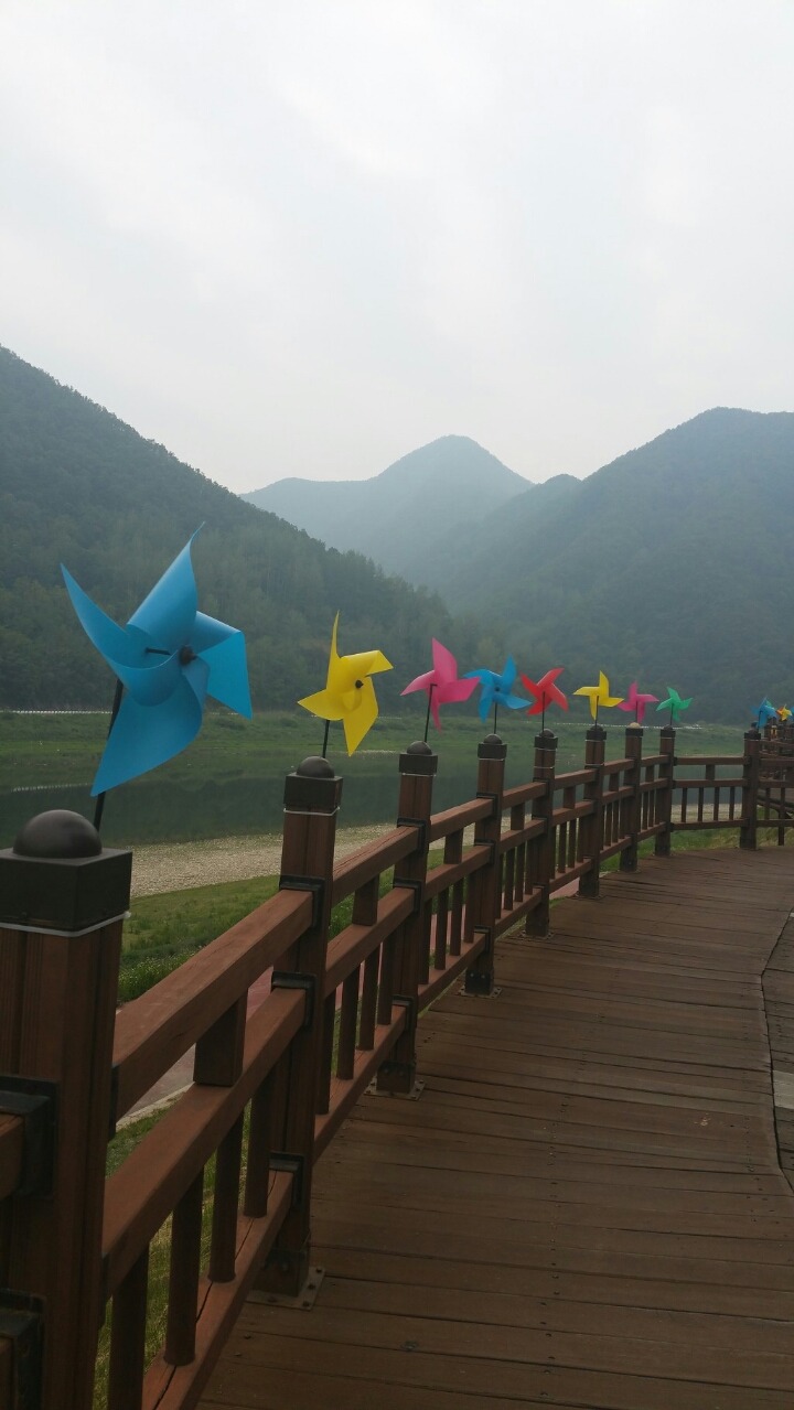 아리까리7080 이미지