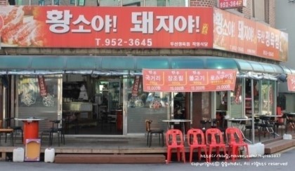 돼지야 이미지