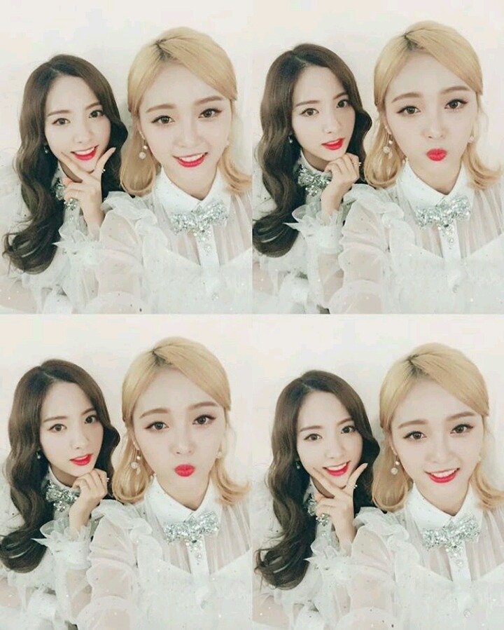 꽃길만 걷고싶은 그대들의 우주소녀 | 인스티즈