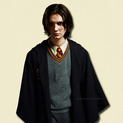 텀블러에서 양덕들이 젊은 시리우스 블랙으로 밀고있는 배우 | 인스티즈
