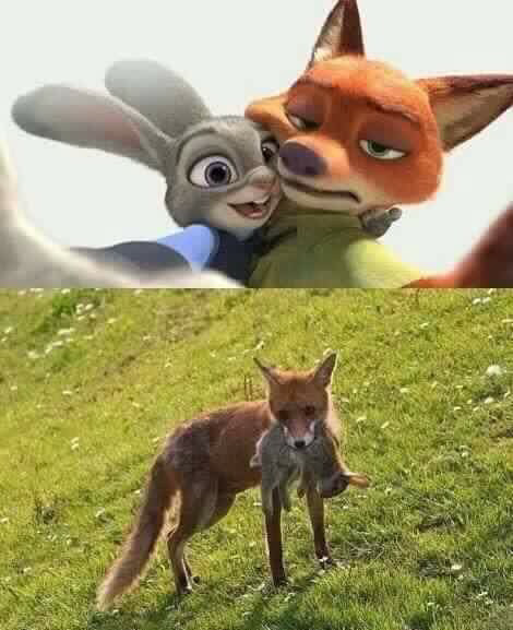 닉 이미지