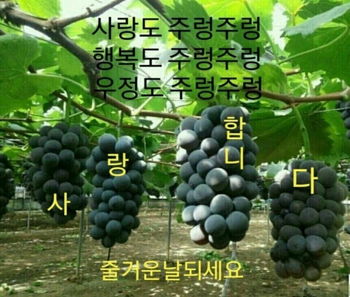 느낌표 이미지