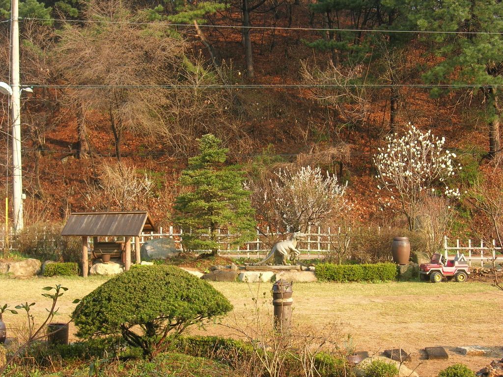 호수정원 이미지