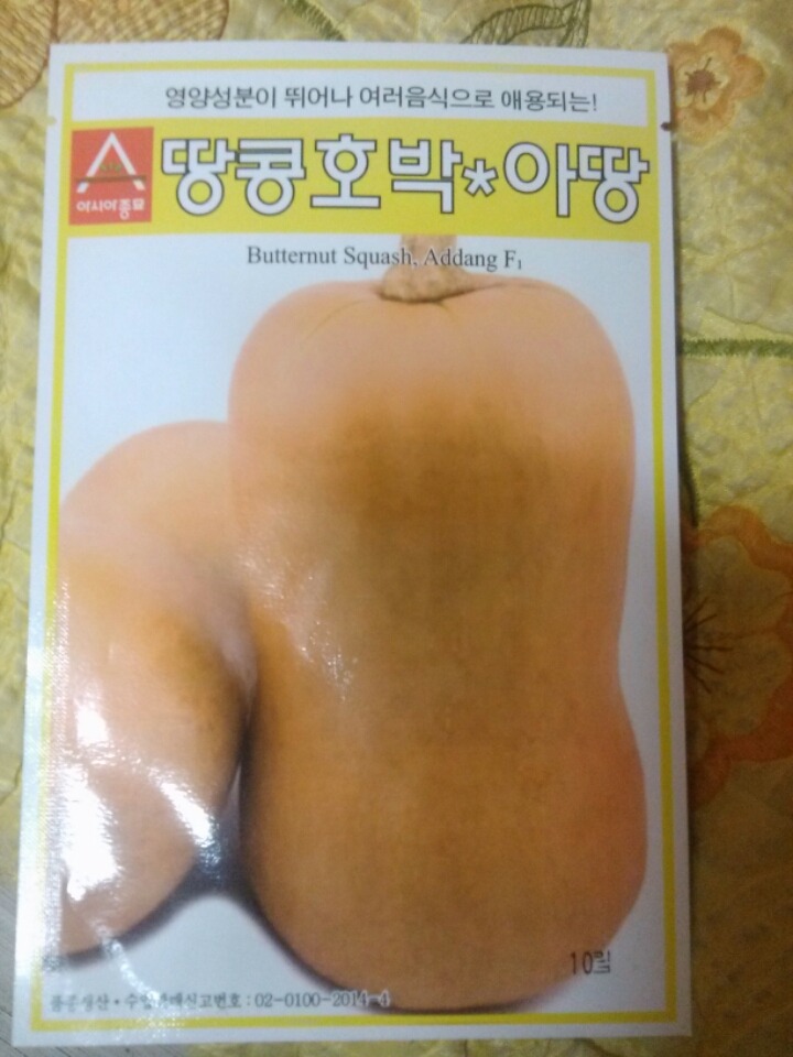 버터넛 이미지