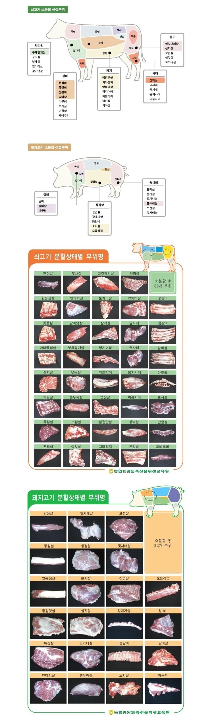 평생 돼지고기 한 부위만 먹어야 한다면 여러분 선택은? | 인스티즈