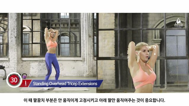마일리 사이러스 운동 대신 한국인 체형과 체력으로 우리도 할 수 있는 운동2(상체운동) | 인스티즈